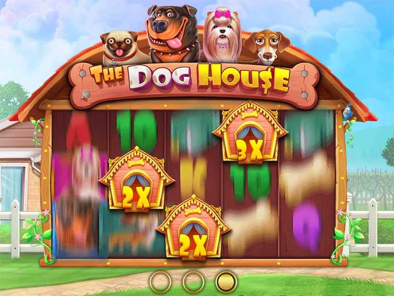 Игра dog house dogs house net